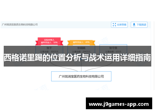 西格诺里踢的位置分析与战术运用详细指南